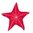 David Fussenegger Kissen gefüllt Silvretta 'Stern' 45 x 45 cm Rot