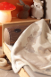 Preview: Biederlack Babydecke 'Foxy & Friends' 75 x 100 cm Beige