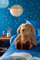 Preview: Biederlack Kuschelset Dream Team Hund 'Max' 75 x 100 cm Natur - Beige
