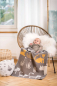 Preview: David Fussenegger Babydecke Juwel 'Dschungel' 70 x 90 cm Braun