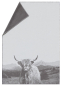 Preview: David Fussenegger Wohndecke Sylt 'Hochlandrind' 140 x 200 cm Rohweiß