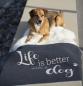 Preview: David Fussenegger Hundedecke 'life is better' 70 x 90 cm
