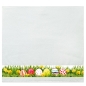 Preview: framsohn Geschirrtuch Frottier 'Ostereier' 50 x 50 cm