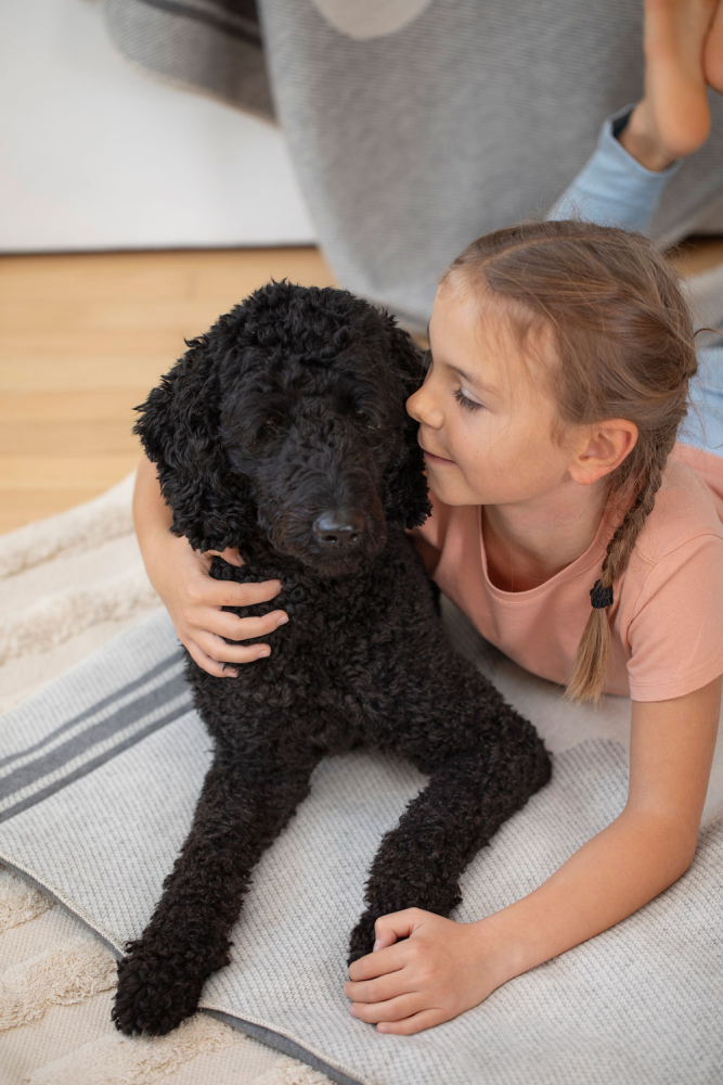 Preview: David Fussenegger Hundematte 'Bones' 80 x 120 cm Grau