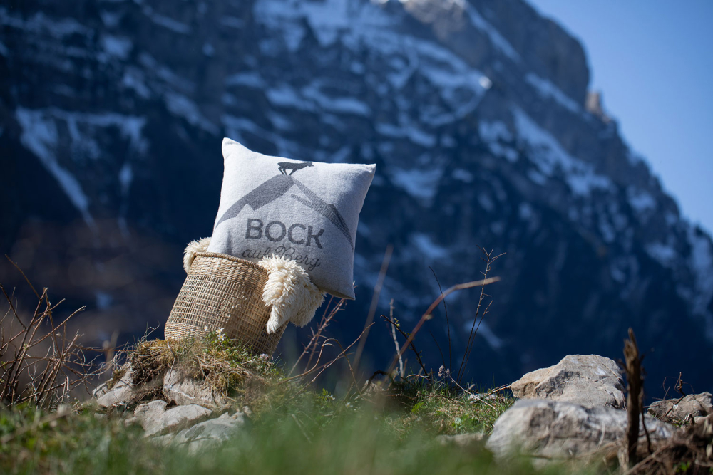 David Fussenegger Kissenhülle Silvretta 'Bock' 50 x 50 cm Filz - Grau