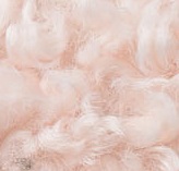 Creme