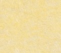Yellow - Creme