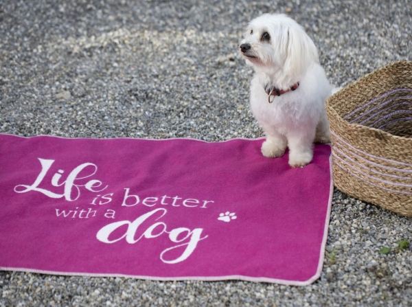 David Fussenegger Hundedecke 'life is better' 70 x 90 cm