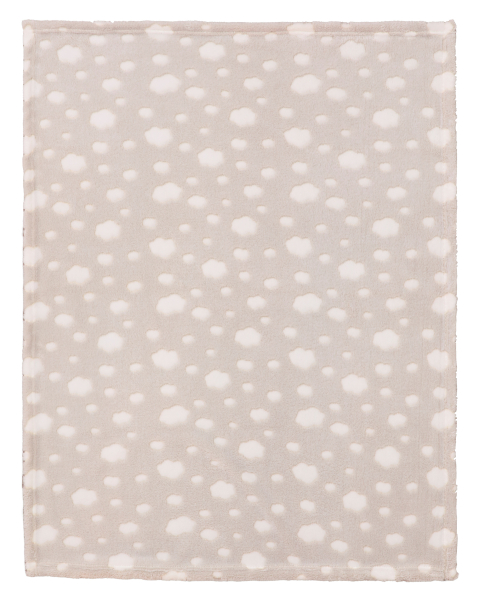 Biederlack Kuschelset Dream Team Bär 'Bruno' 75 x 100 cm Braun - Beige