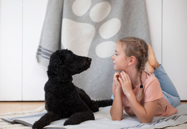 David Fussenegger Hundedecke 'Paws' 100 x 140 cm Grau